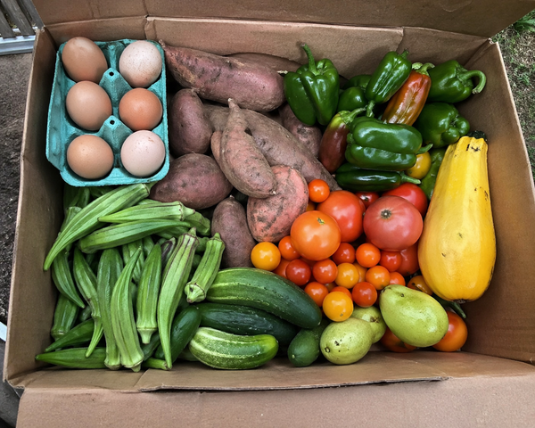 Fresh Harvest produce box pre-order